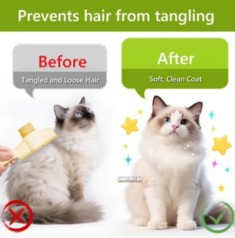 Push Flea Comb Hair Removal 2 in 1 Grooming Brush for Cat & Dog