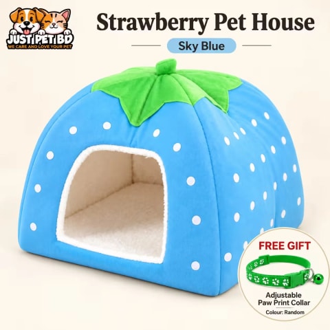 Strawberry Pet House with Free Paw Print Collar