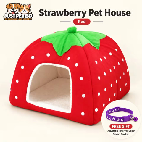 Red strawberry cat house with free random paw print collar | JustPet BD