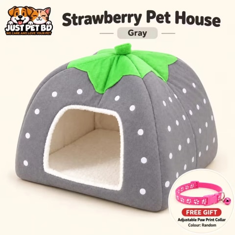 Gray strawberry cat house with free random paw print collar | JustPet BD