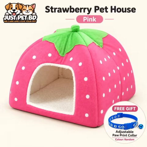 Pink strawberry cat house with free random paw print collar | JustPet BD