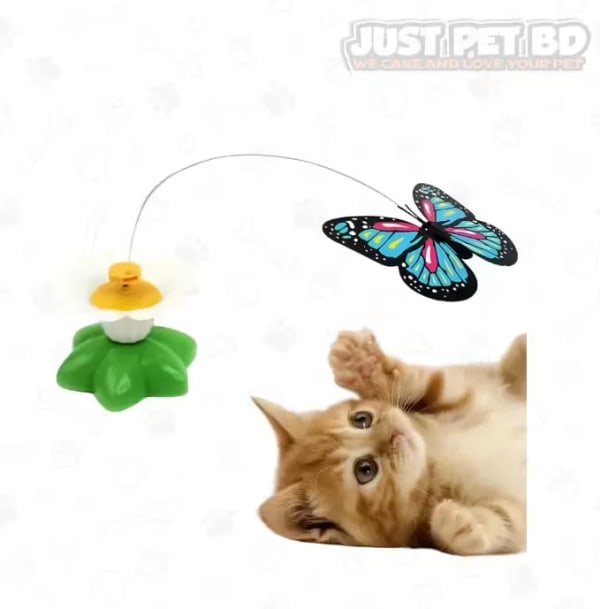 Electric Flying Butterfly Teaser Toy for Cats