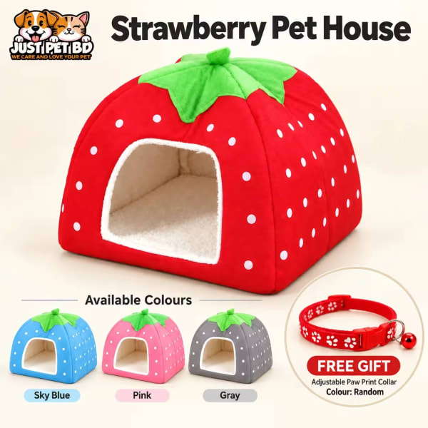 Strawberry Cat House combo with free paw print collar – red, blue, pink and gray | JustPet BD