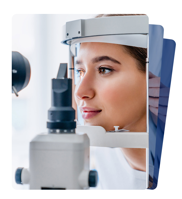 AIAO team and educational environment