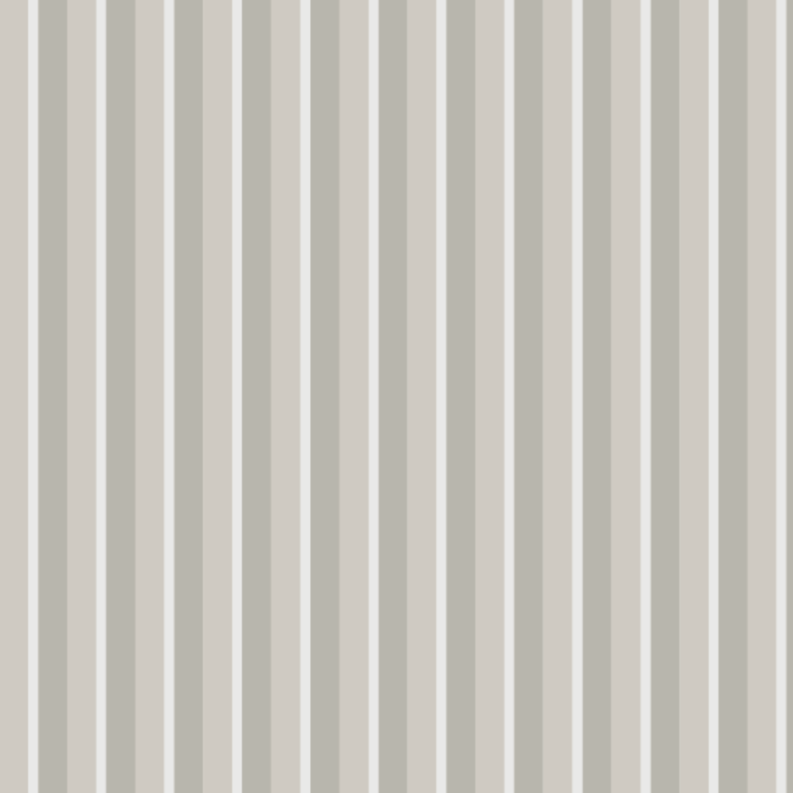 16645_ccpoz8