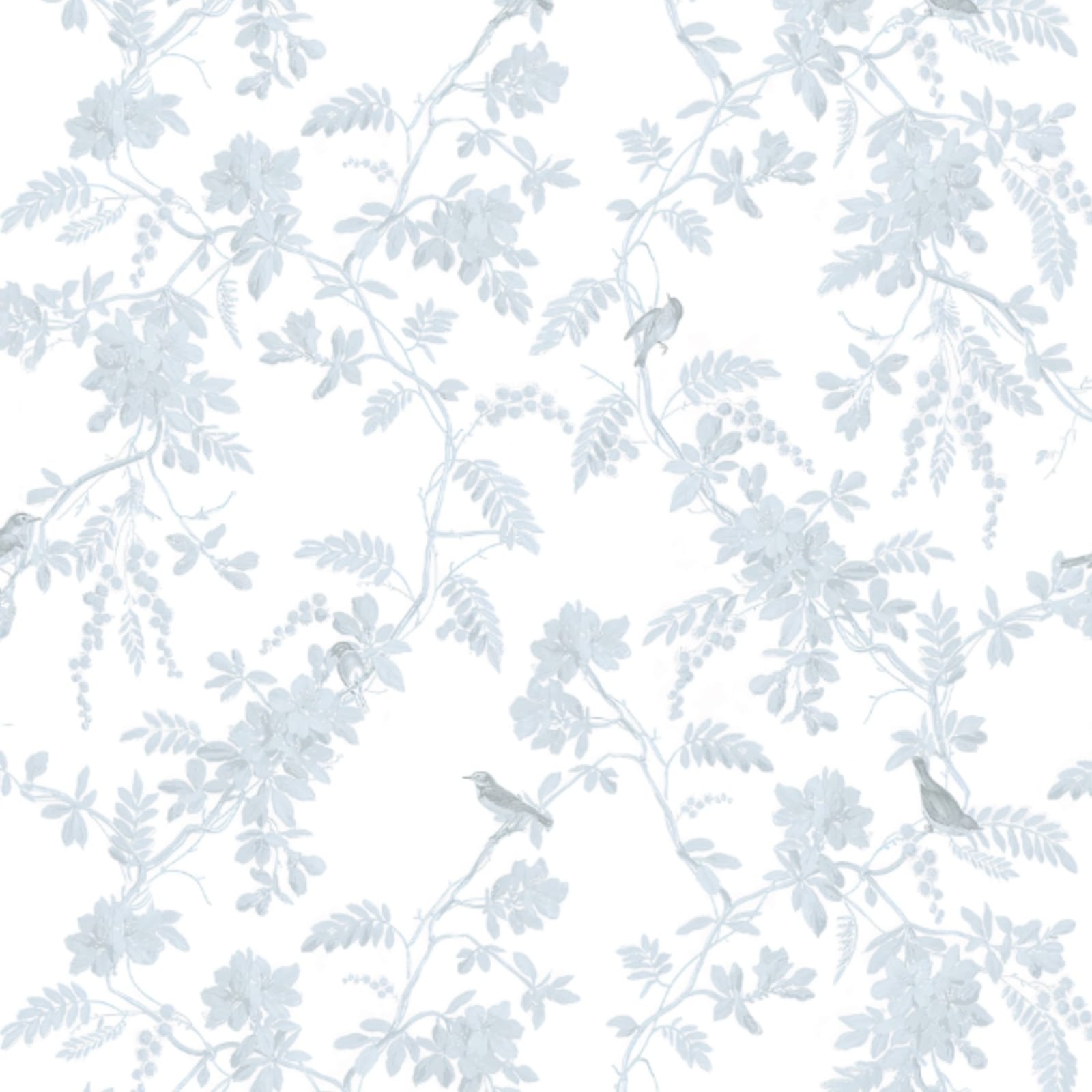 16008_zz87o2