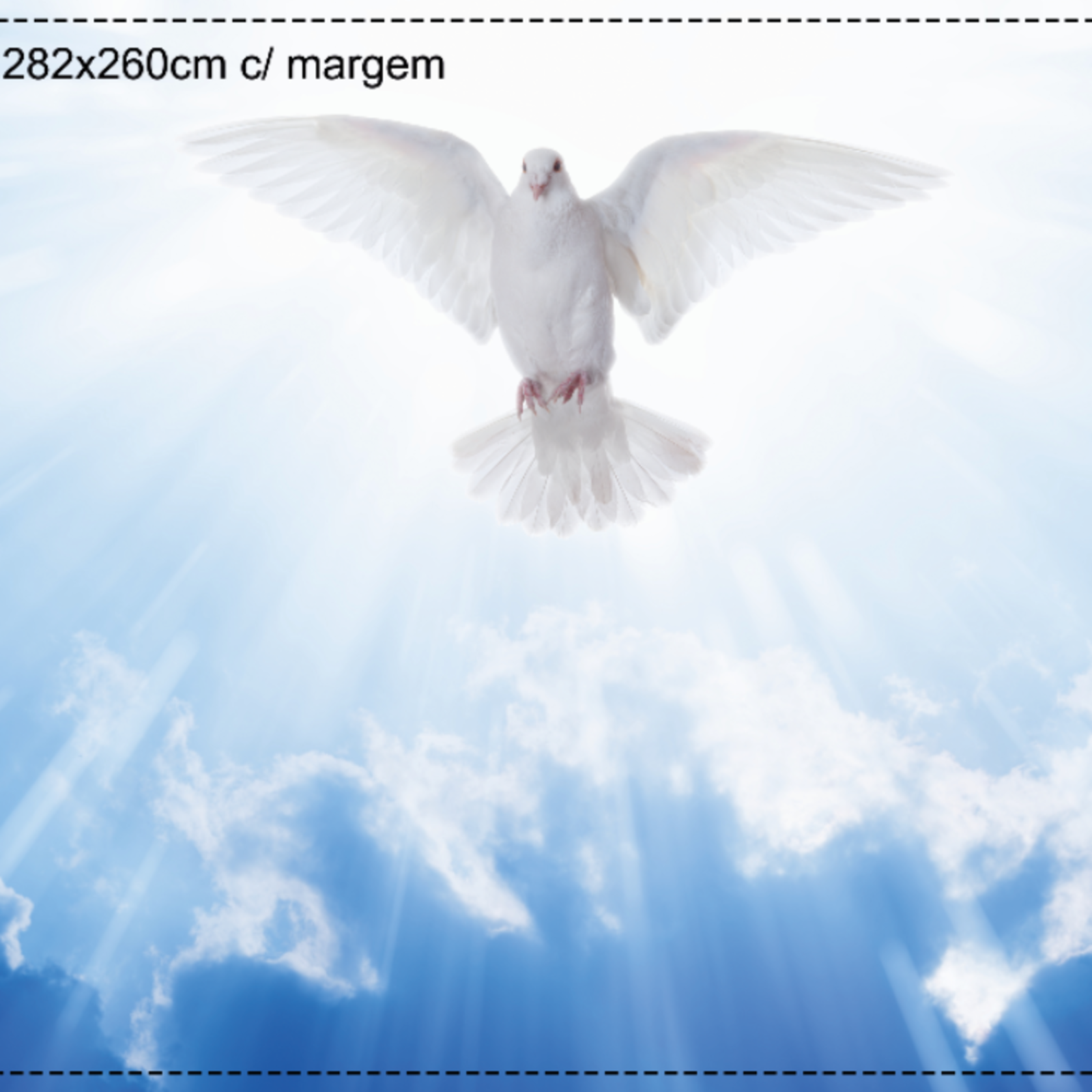 17652_brtpjt
