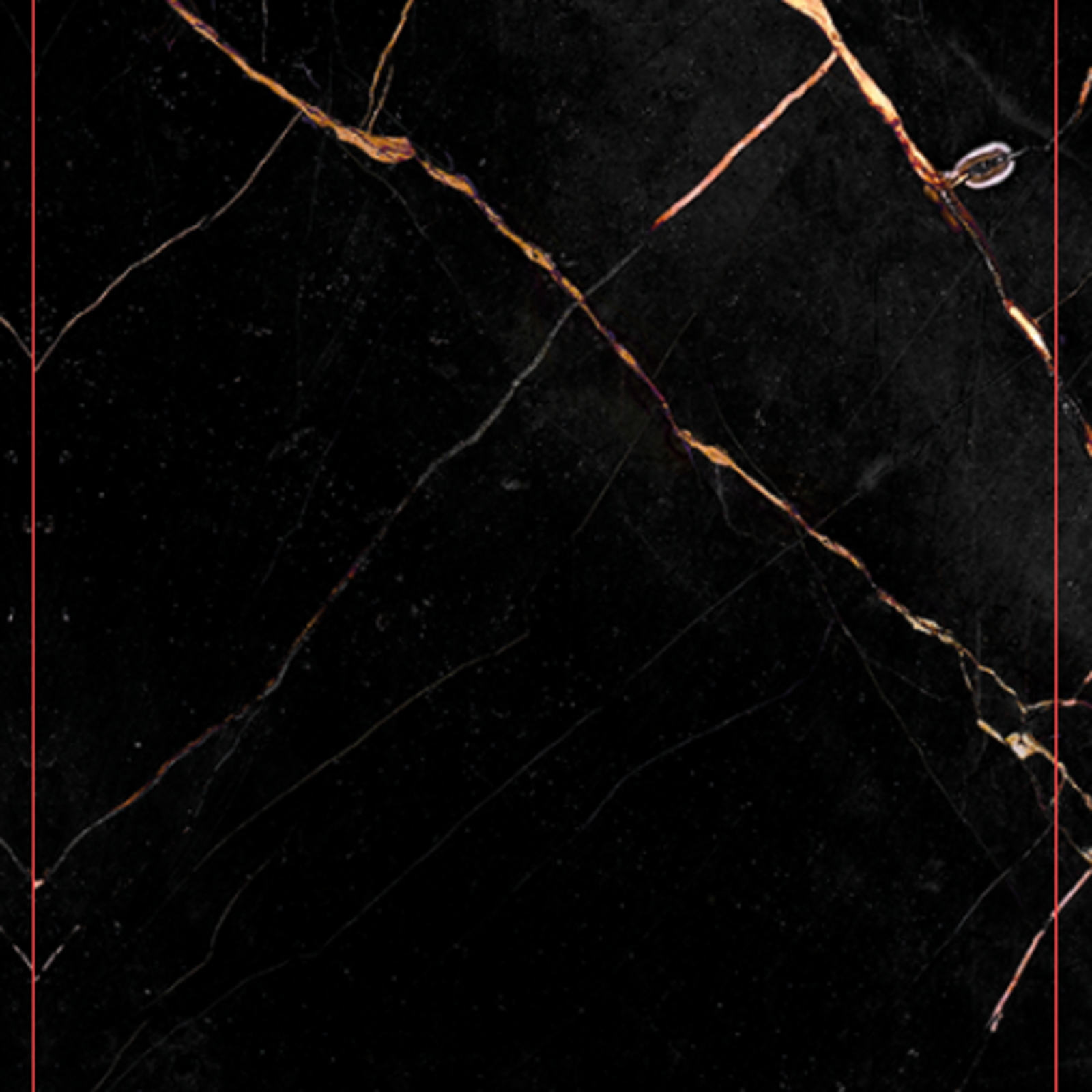 5829_zyneom