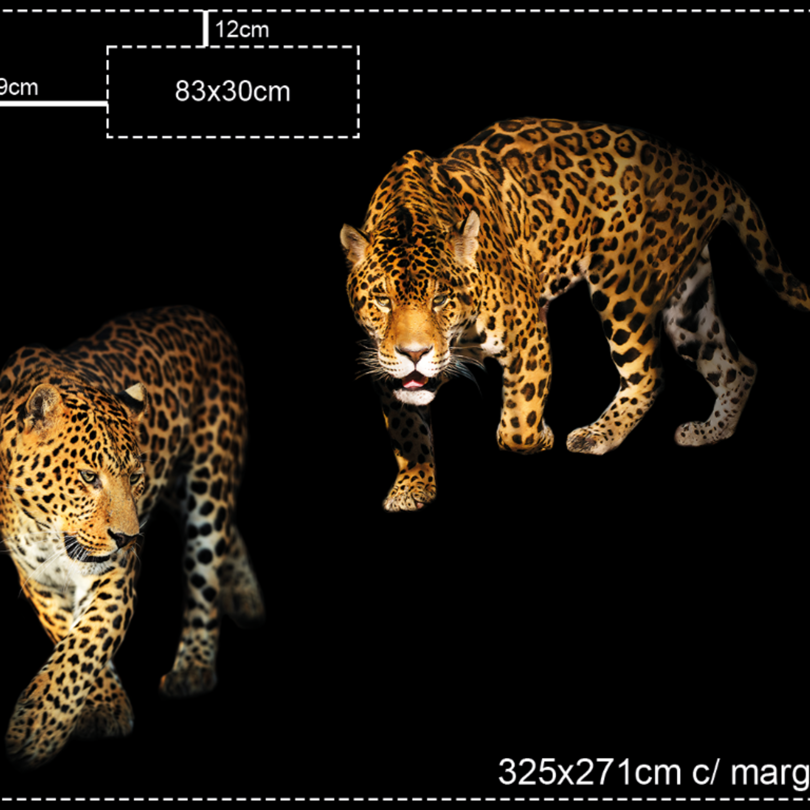 8005_md6uv2