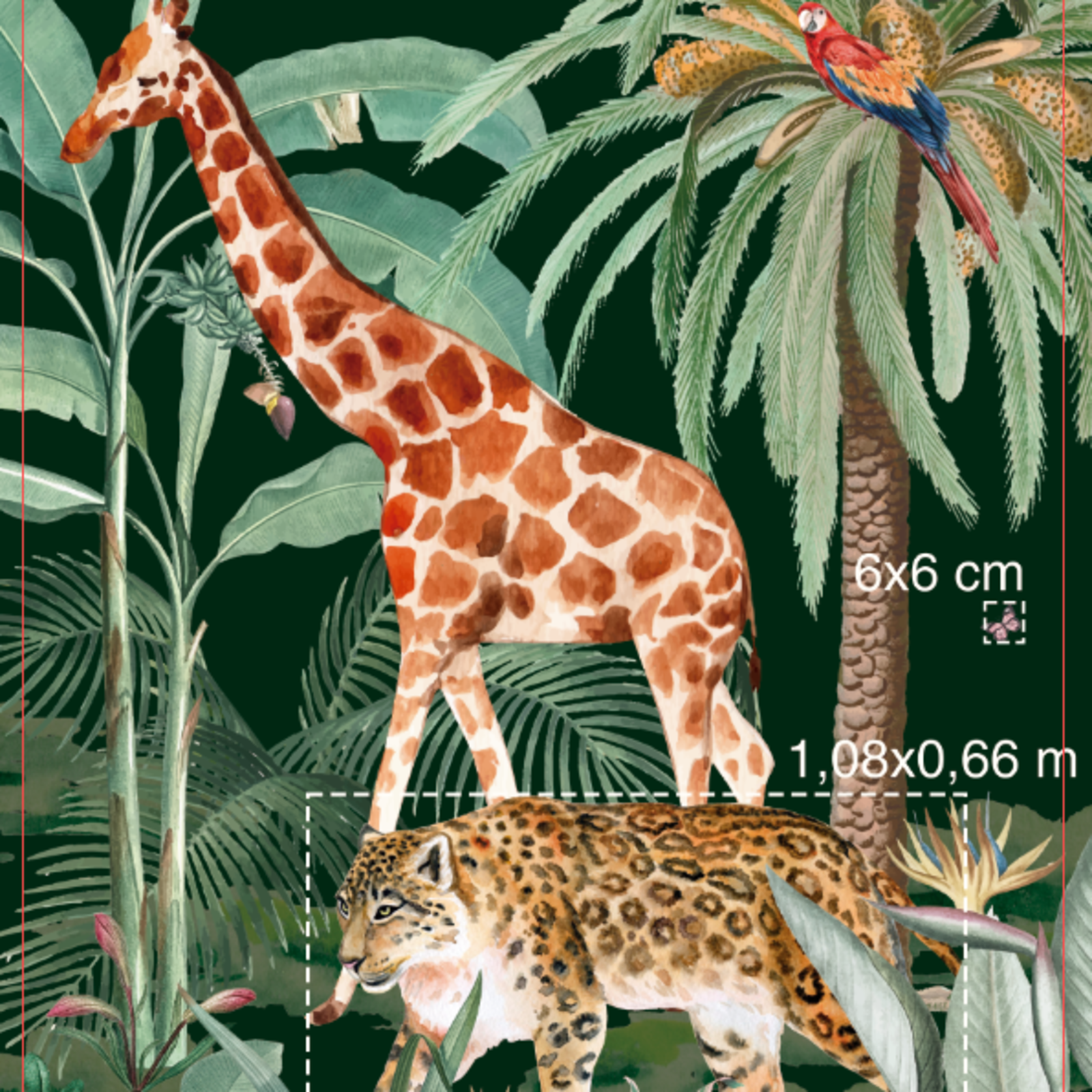 image_63_m3p63s