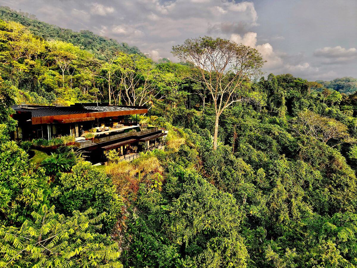 Luxury home surrounded by lush jungle in Uvita, Costa Rica, featuring modern architecture and panoramic views.