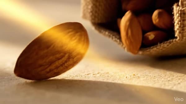 Bagan Premium Dryfruits