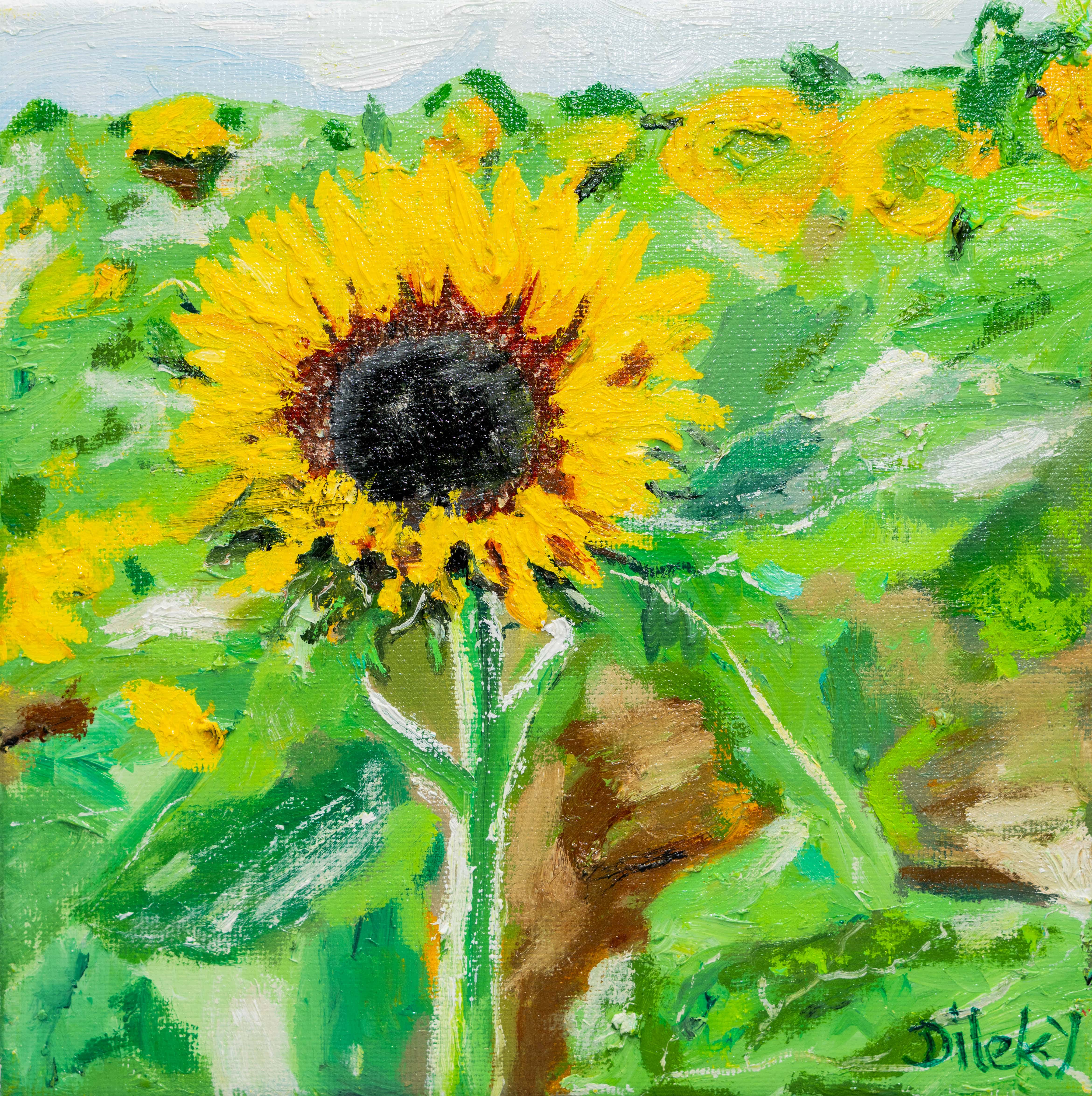 Sunflowers oil
