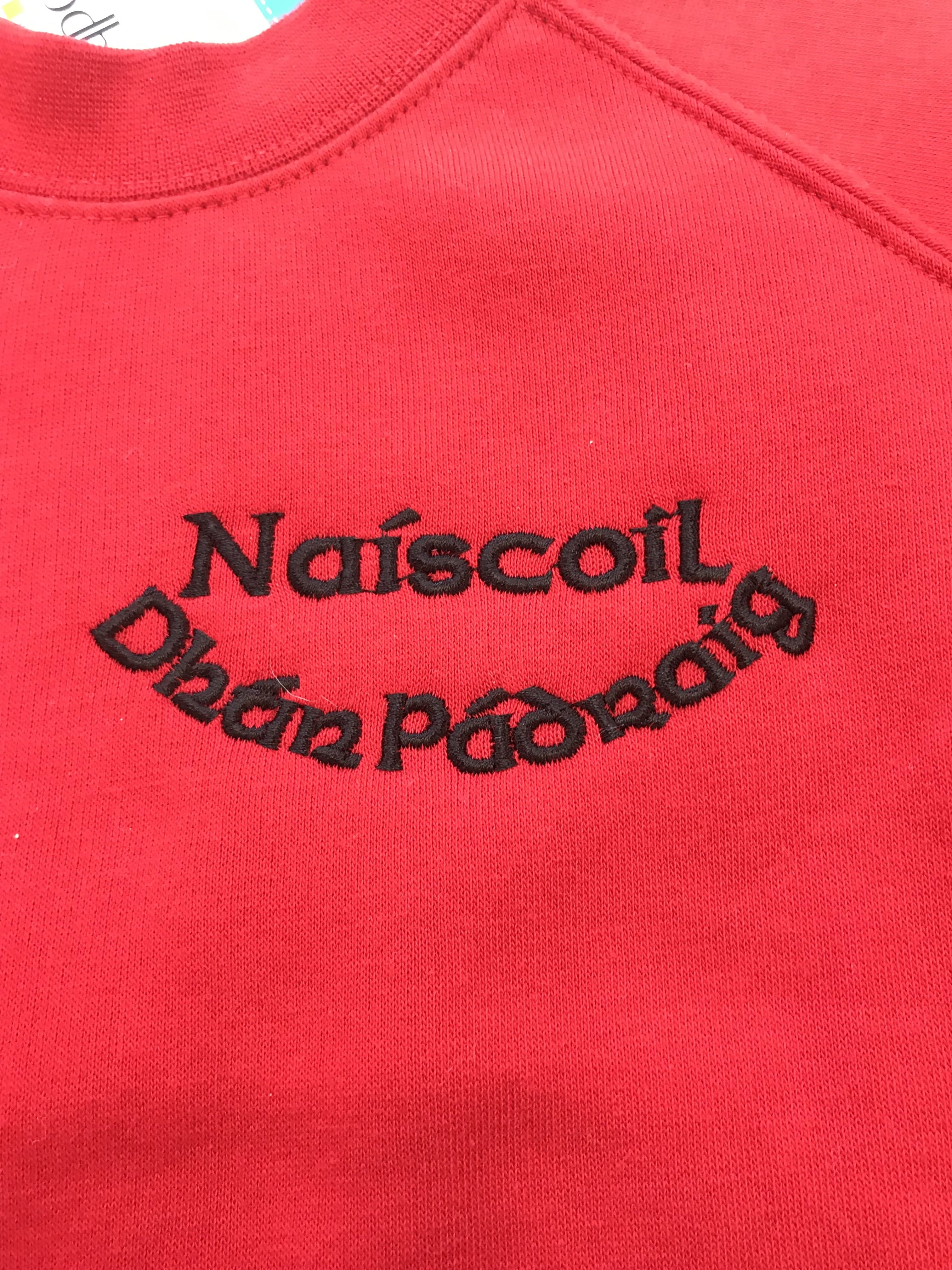 Naiscoil-dhan-padraig