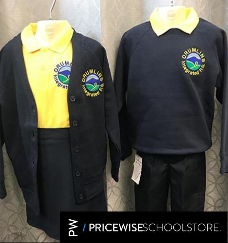 Drumlins Integrated Primary School Ballynahinch