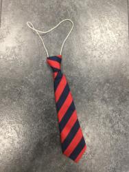 Elastic Tie