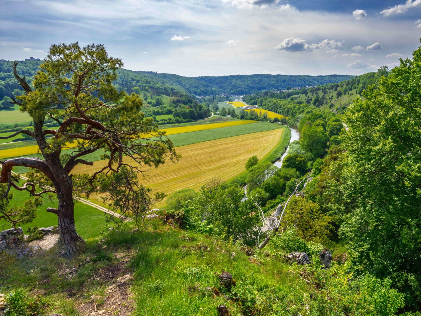 Europe landscape