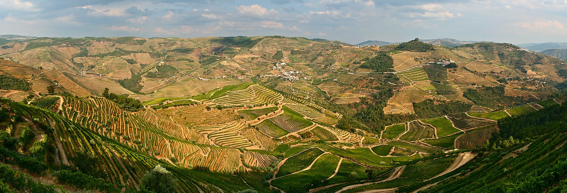 Octant Douro