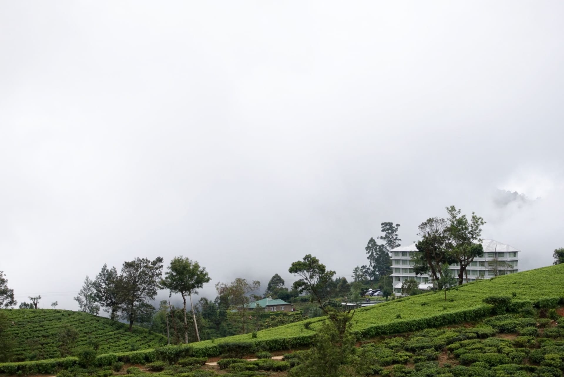 Heritance Tea Factory