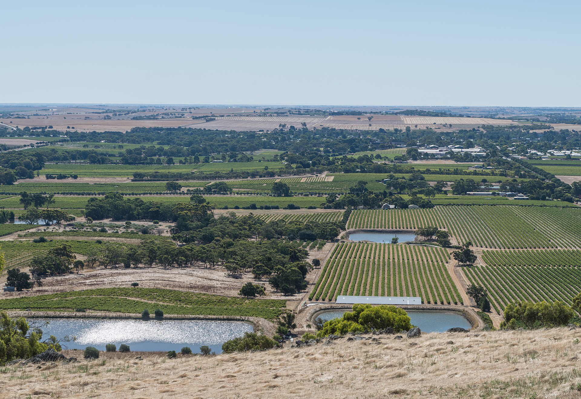 Novotel Barossa Valley Resort