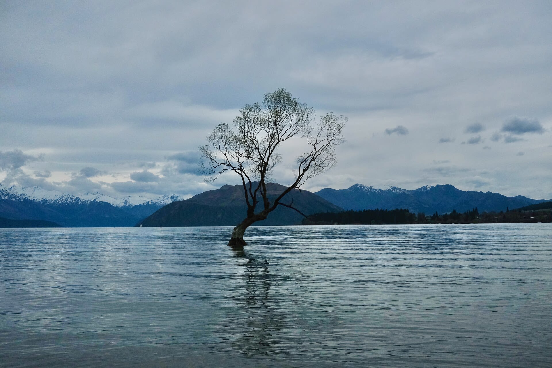 Edgewater Wanaka