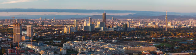 Viena