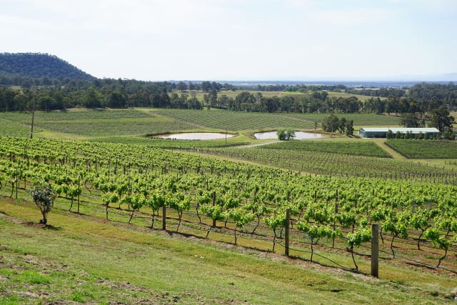 Valle de Hunter