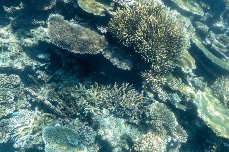 Six Senses Fiji — 1