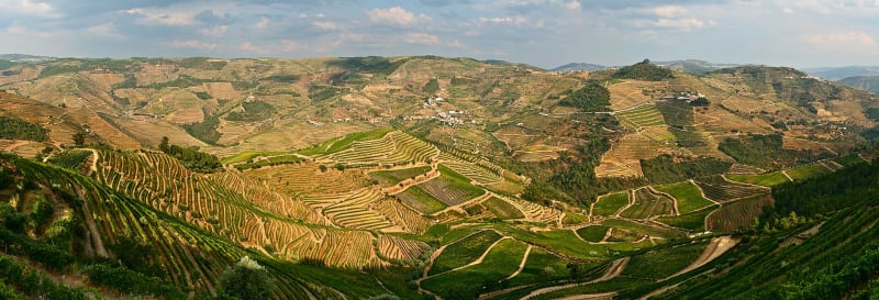 Octant Douro — 1