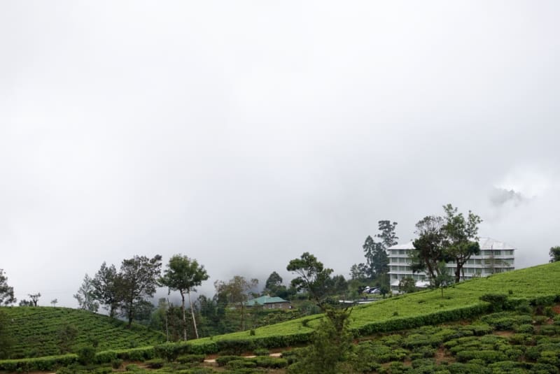 Heritance Tea Factory — 1