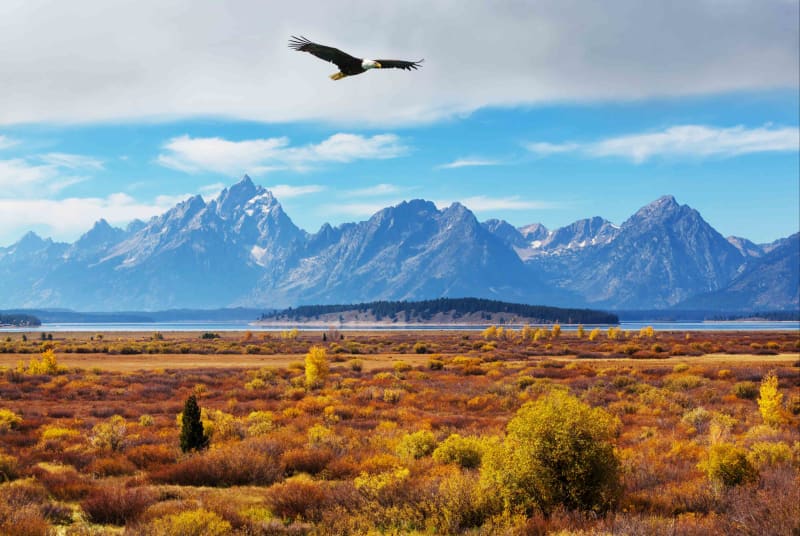 North America landscape