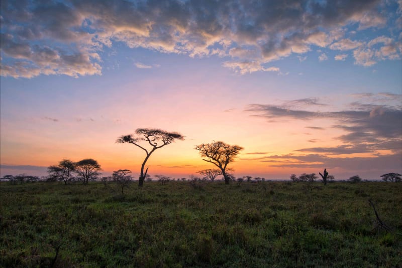 Africa landscape