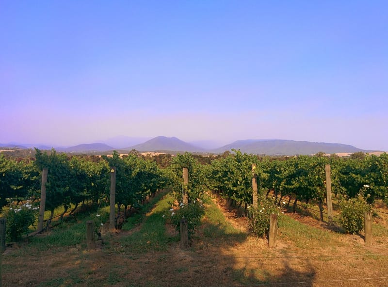 RACV Healesville Country Club & Resort — 1