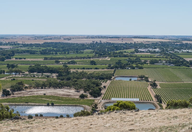 Novotel Barossa Valley Resort — 1