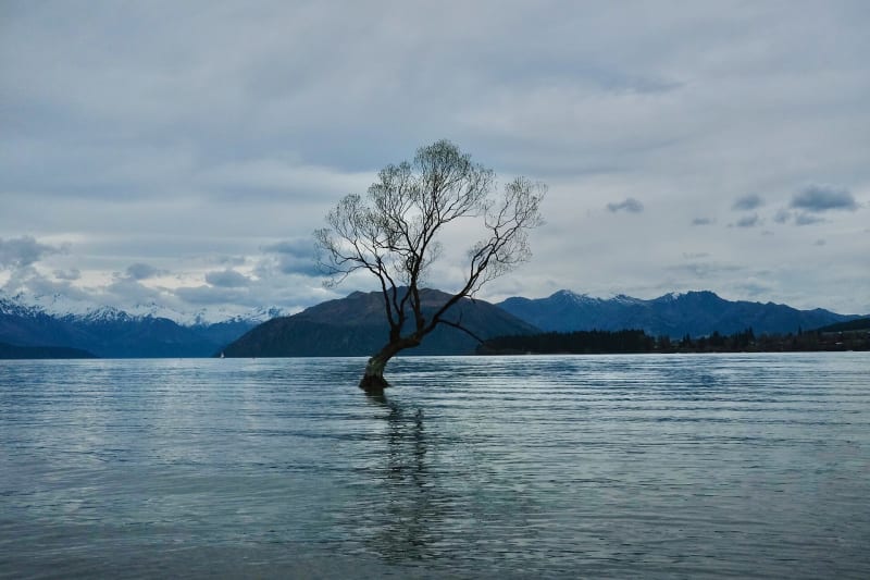 Edgewater Wanaka — 1