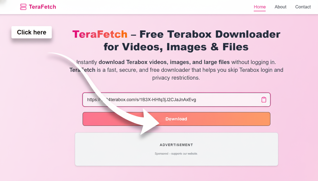 Paste the Link in TeraLinkPlayer