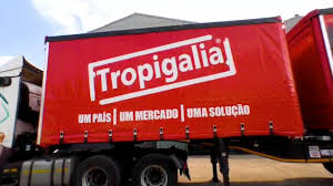 tropigalia-dispara-1111