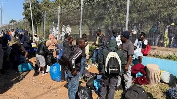 Mais de 53 mil migrantes deixam a África do Sul: o que pode mudar para Moçambique?