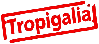 accoes-da-tropigalia-caem-para-90-mzn-o-nivel-mais-baixo-desde-junho