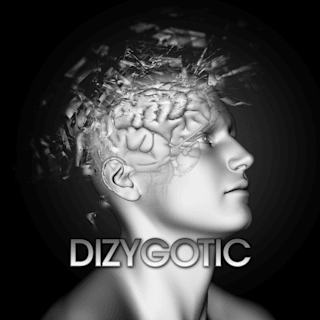 Dizygotic - Saturday Sounds