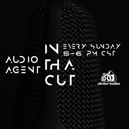 Audio Agent - In Tha Cut 223