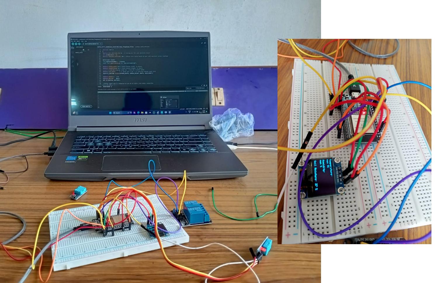 Soil Monitoring System
