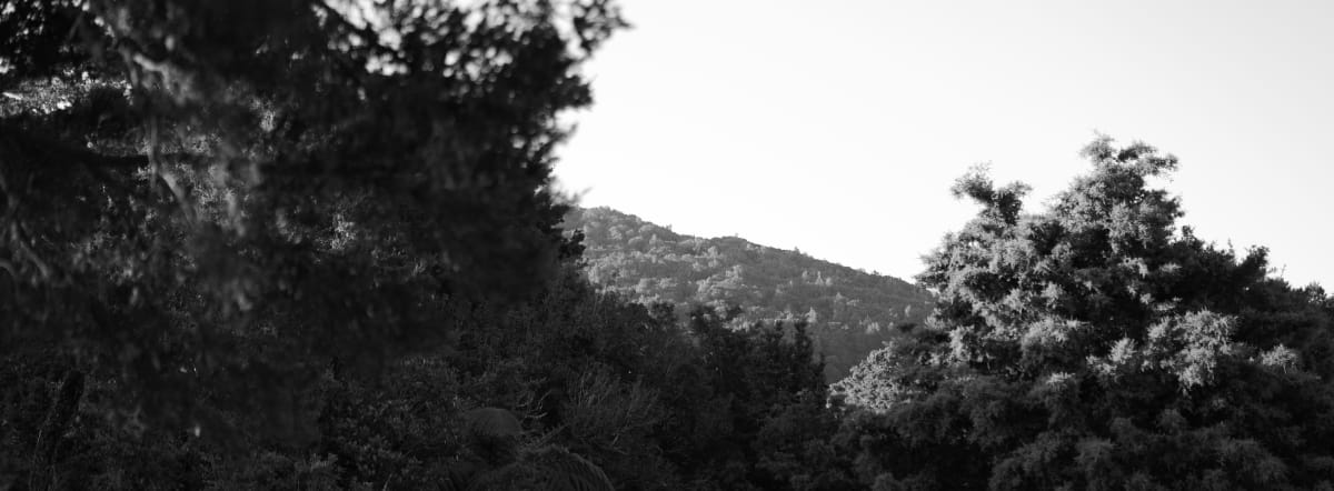 P1028480_qdpbct