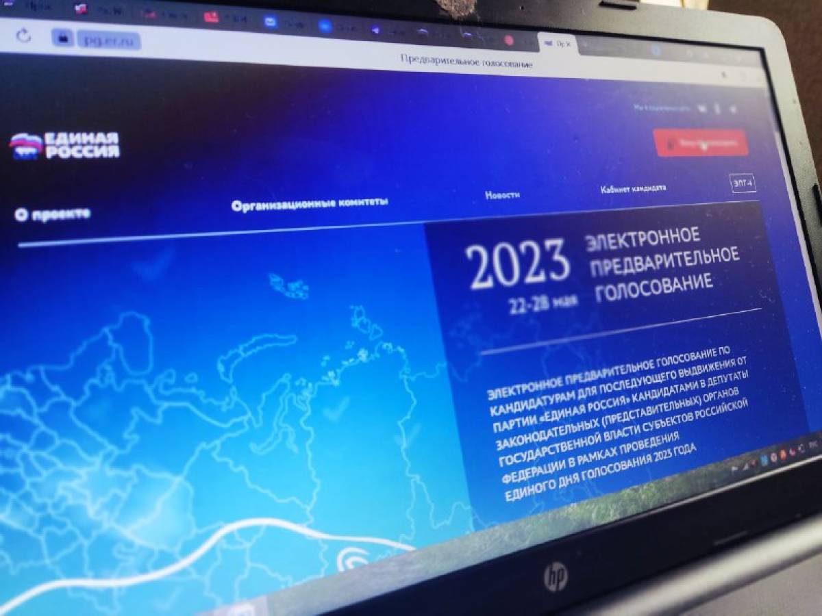 Дэг 2023 проголосовать воронежская область