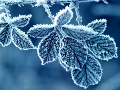 Волгоградцы отдохнут от морозов