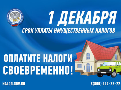Напоминаем, что 1 декабря 2023 года истекает срок уплаты имущественных налогов и НДФЛ по налоговому уведомлению
