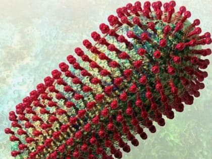 В трёх районах Волгоградской области вновь обнаружен смертельный вирус