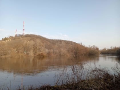 В черте р.п. Лысые Горы уровень воды в реке Медведица пошёл на спад?