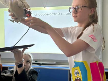 Волгоградские школьники сразятся на международной  «Битве роботов»