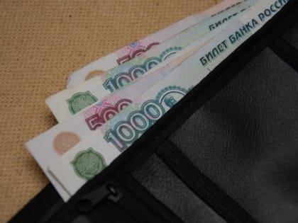 Росстат подсчитал средний размер зарплаты в Волгоградской области